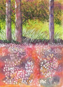 ANGLESEY ABBEY CYCLAMENS