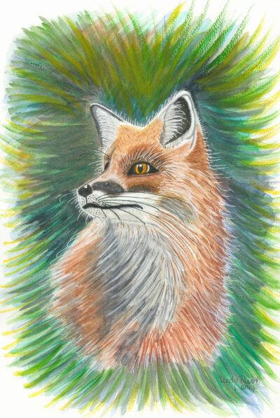 FREDDY THE FOX FREDDY THE FOX
