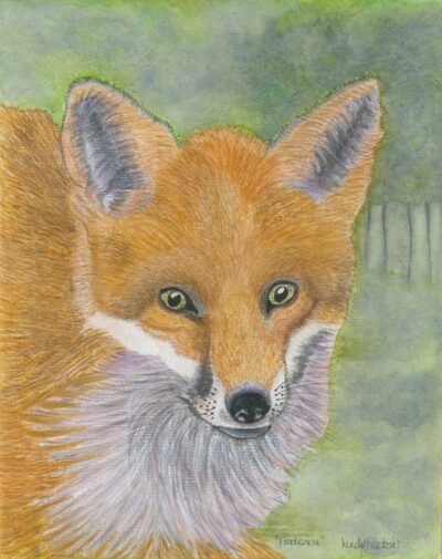 FREDERICA FREDERICA the Fox