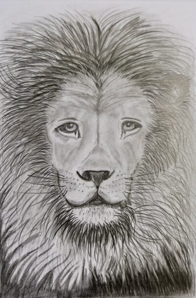 LENNY THE LION LENNY. THE LION