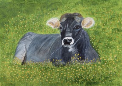 MOLLIE THE MOO COW Mollie the Moo Cow
