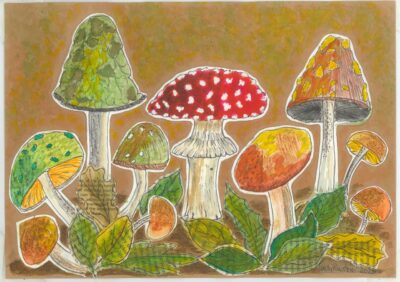 MUSHROOM MEDLEY Mushroom Medley