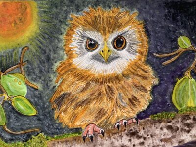 OLLIE THE OWL Ollie the Owl