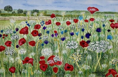 FIELD OF POPPIES Field of Poppies