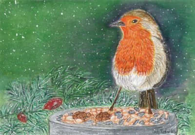 ROBIN REDBREAST - £ 70 Robin Redbreast