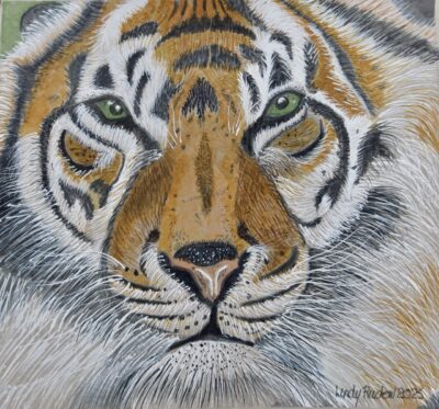 TIGGER THE TIGER TIGGER THE TIGER