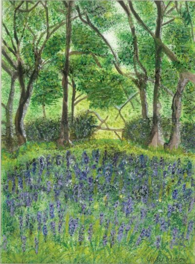 LADYWOOD BLUEBELLS - BRAMPTON LADYWOOD BLUEBELLS - BRAMPTON