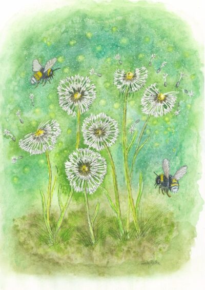 DANDELIONS DANCE- £ 195 DANDELIONS DANCE