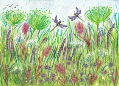 DRAGONFLIES MEADOW- £ 130 DRAGONFLIES MEADOW