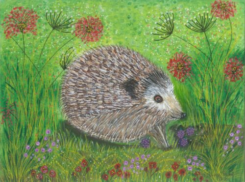 HARRY THE HEDGEHOG £ HARRY THE HEDGEHOG