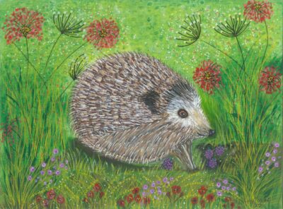 HARRY THE HEDGEHOG £ HARRY THE HEDGEHOG