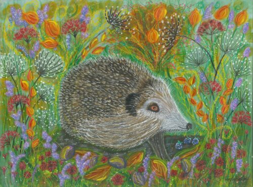 HILARY THE HEDGEHOG £ HILARY THE HEDGEHOG